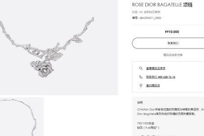 DA-JBAG94011玫瑰花项链
