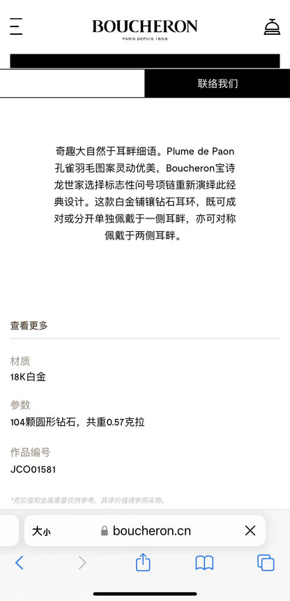 BSL-JCO01581羽毛耳环短耳拍耳夹