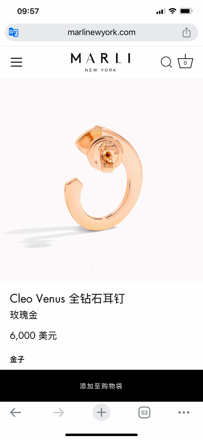 ML-CLEO-E35蛇形尖锥满钻C形耳环