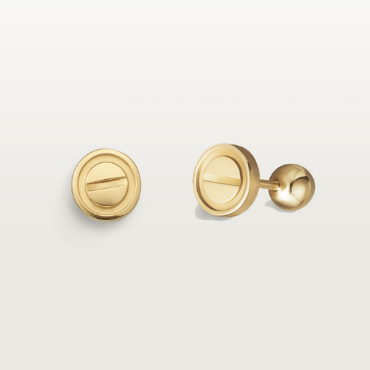 KDY-B8301421 6mm wide screw earrings