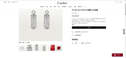 KDY-H8000654 blister long earrings