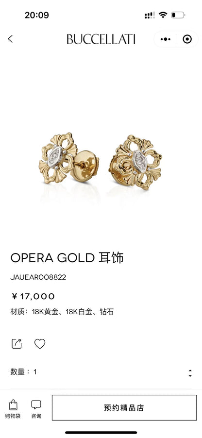BQLT-JAUEAR006948菱形蕾丝花四叶草耳环