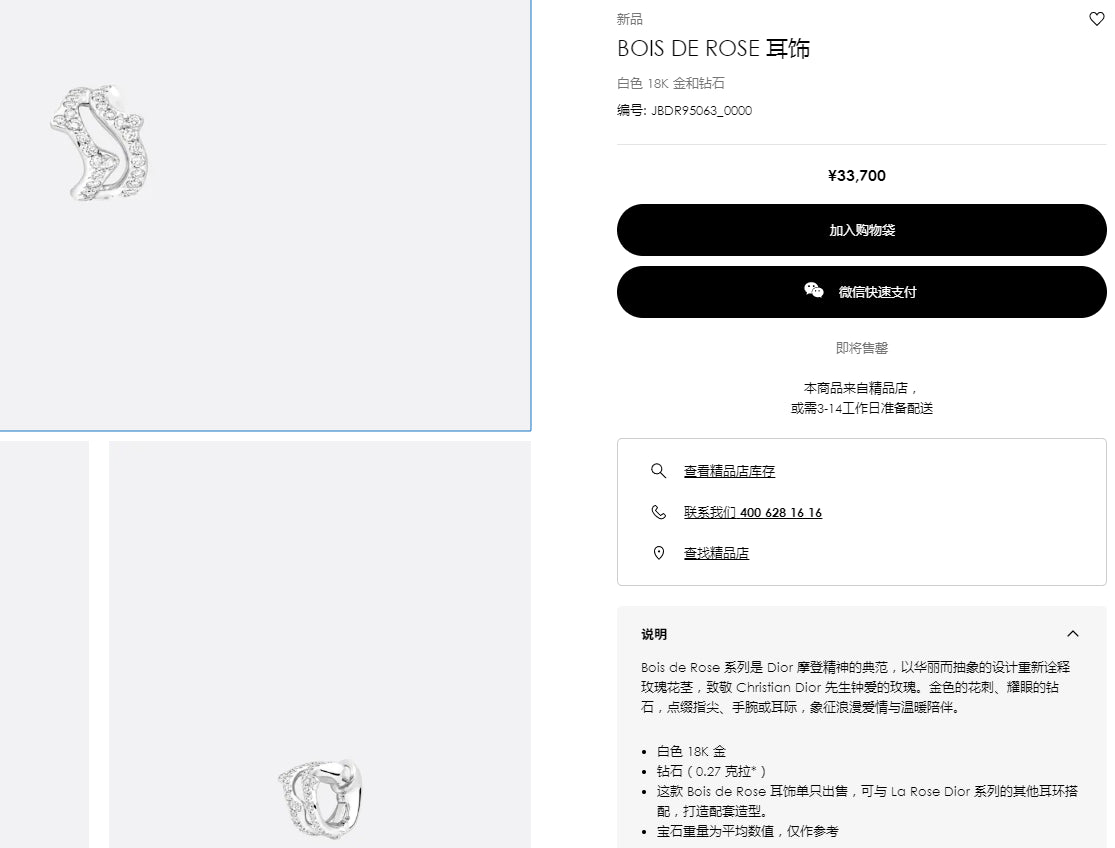 DA-JBDR95063树枝耳环