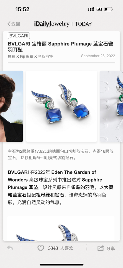 BGL-972925雀羽羽毛耳环